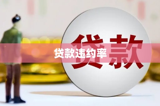 盘山贷款违约率
