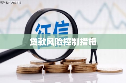 平湖贷款风险控制措施
