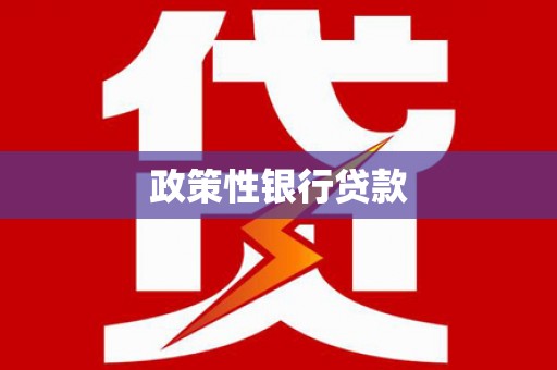 里港政策性银行贷款