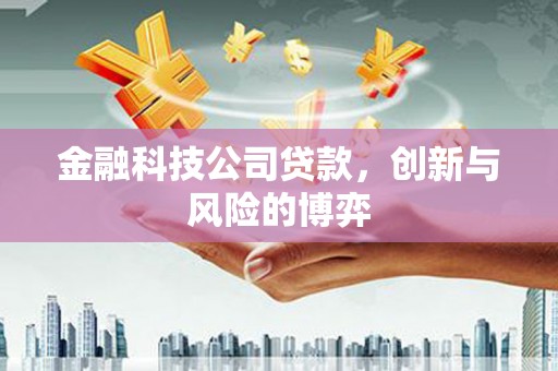 黄梅金融科技公司贷款，创新与风险的博弈