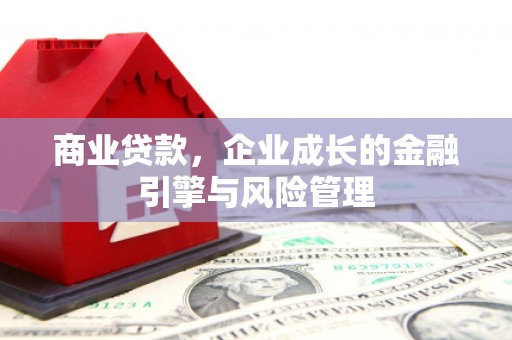 万年商业贷款，企业成长的金融引擎与风险管理