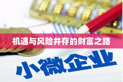 光泽机遇与风险并存的财富之路