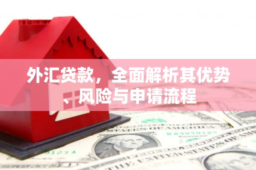 龙亭外汇贷款，全面解析其优势、风险与申请流程