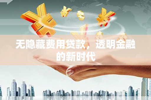 定海无隐藏费用贷款，透明金融的新时代