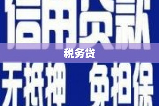 路环岛税务贷