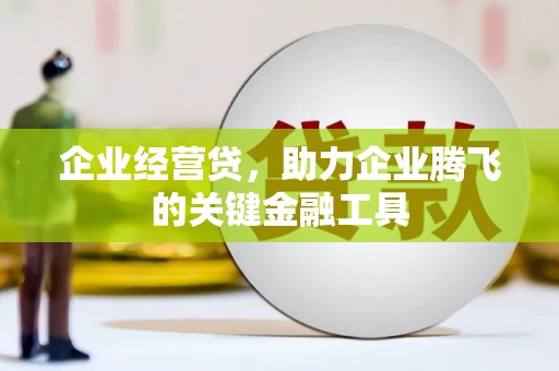 叶县企业经营贷，助力企业腾飞的关键金融工具