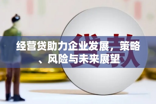 丽水经营贷助力企业发展，策略、风险与未来展望