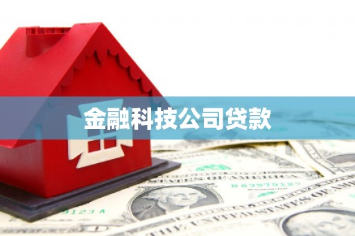 汐止金融科技公司贷款