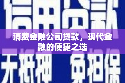 田尾消费金融公司贷款，现代金融的便捷之选