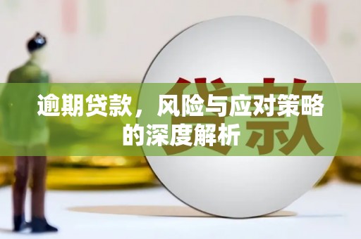 墨江逾期贷款，风险与应对策略的深度解析