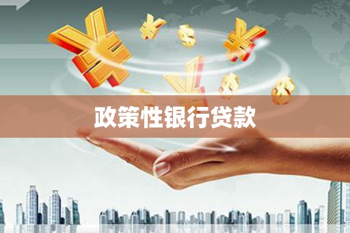 八步政策性银行贷款