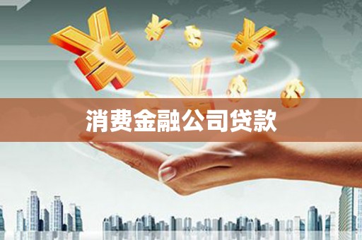 囊谦消费金融公司贷款