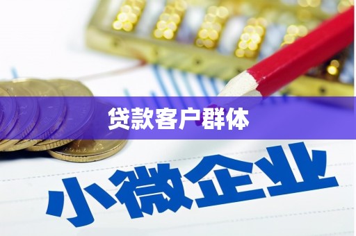 岳麓贷款客户群体