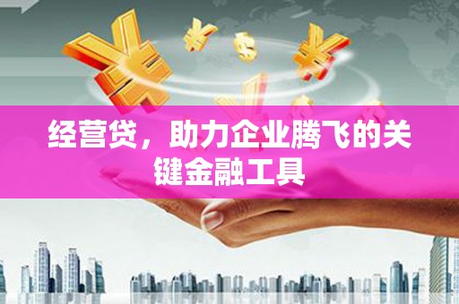 福海经营贷，助力企业腾飞的关键金融工具