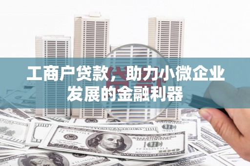 阜康工商户贷款，助力小微企业发展的金融利器