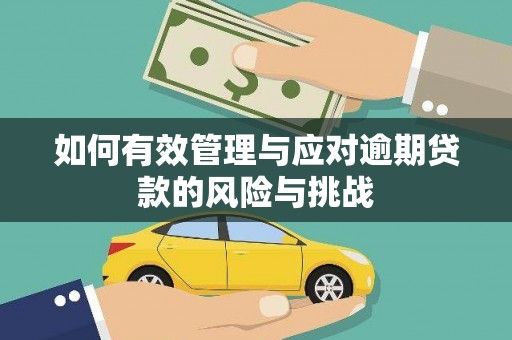 苍南如何有效管理与应对逾期贷款的风险与挑战