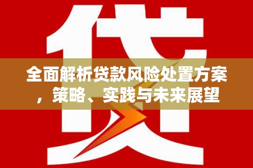莿桐全面解析贷款风险处置方案，策略、实践与未来展望