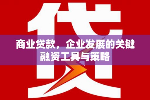 万秀商业贷款，企业发展的关键融资工具与策略