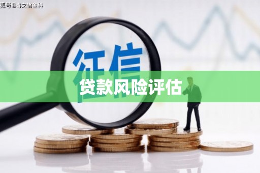暖暖贷款风险评估