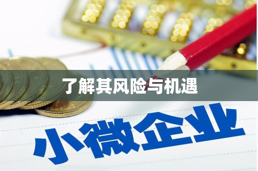 渭源了解其风险与机遇