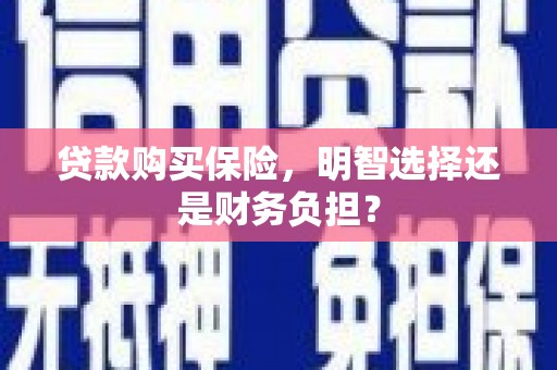 衡阳贷款购买保险，明智选择还是财务负担？