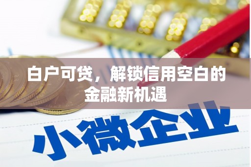 阿里山白户可贷，解锁信用空白的金融新机遇