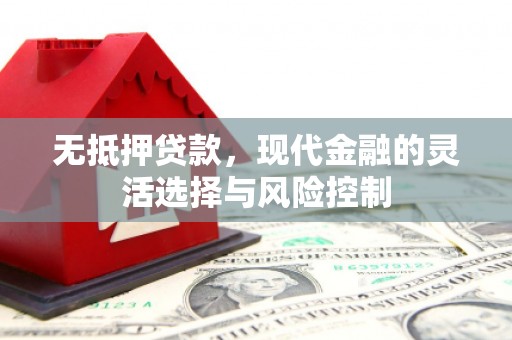 分宜无抵押贷款，现代金融的灵活选择与风险控制