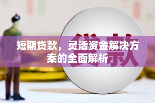 田林短期贷款，灵活资金解决方案的全面解析