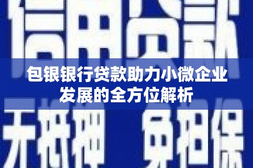 通山包银银行贷款助力小微企业发展的全方位解析