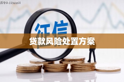 巧家贷款风险处置方案