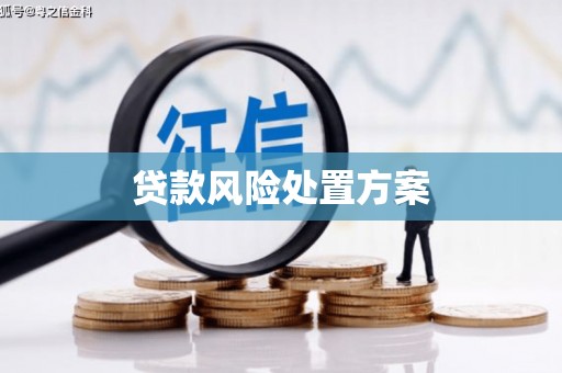 圣方济各堂区贷款风险处置方案