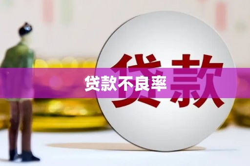 崇明贷款不良率