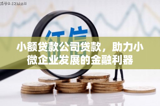 梁平小额贷款公司贷款，助力小微企业发展的金融利器