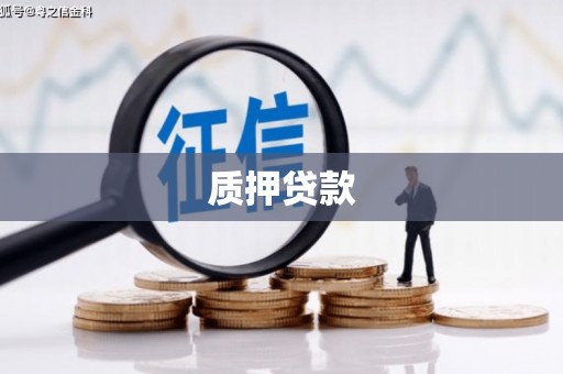 崇州质押贷款