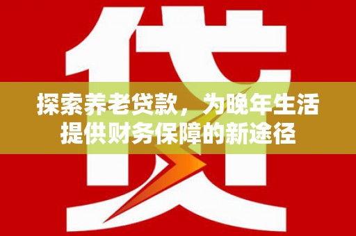 大观探索养老贷款，为晚年生活提供财务保障的新途径