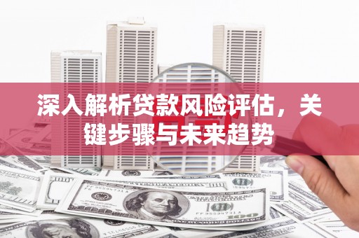 红安深入解析贷款风险评估，关键步骤与未来趋势