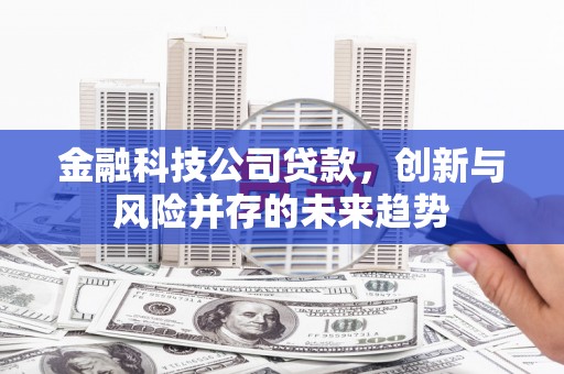 板桥金融科技公司贷款，创新与风险并存的未来趋势