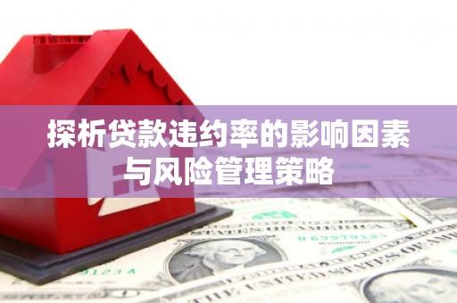 上街探析贷款违约率的影响因素与风险管理策略