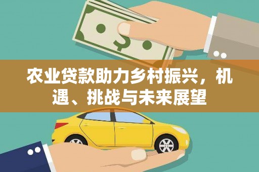 项城农业贷款助力乡村振兴，机遇、挑战与未来展望