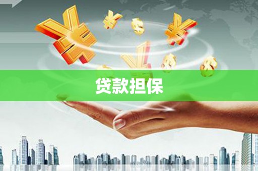 璧山贷款担保