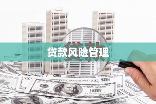 天河贷款风险管理