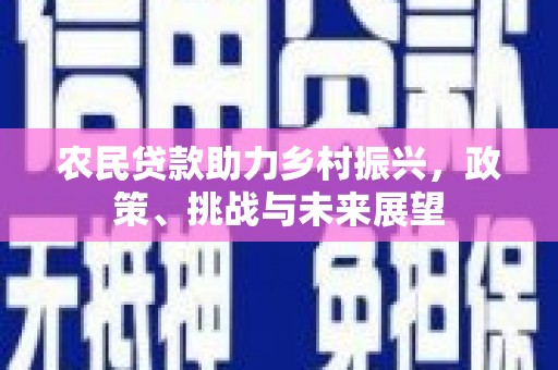 秀林农民贷款助力乡村振兴，政策、挑战与未来展望