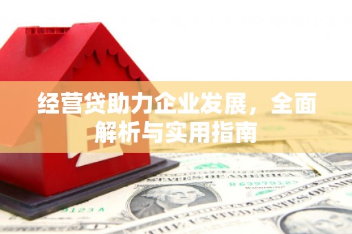 双清经营贷助力企业发展，全面解析与实用指南
