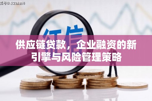 阜沙供应链贷款，企业融资的新引擎与风险管理策略
