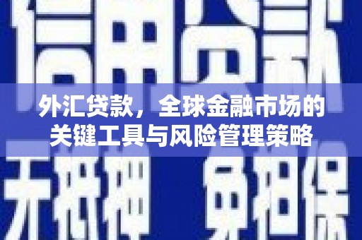 太子河外汇贷款，全球金融市场的关键工具与风险管理策略