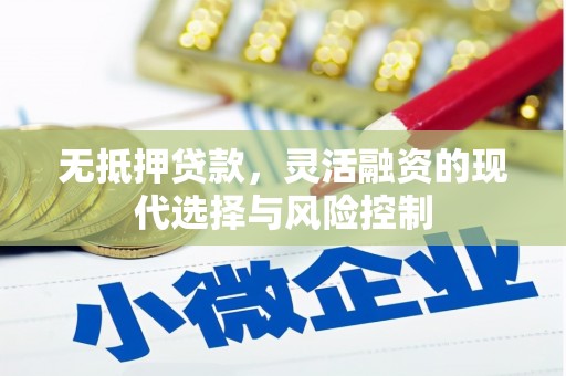 南陵无抵押贷款，灵活融资的现代选择与风险控制