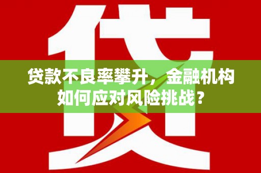 泗阳贷款不良率攀升，金融机构如何应对风险挑战？