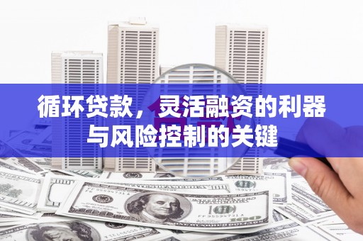 惠东循环贷款，灵活融资的利器与风险控制的关键