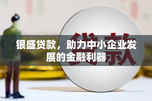 马龙银盛贷款，助力中小企业发展的金融利器