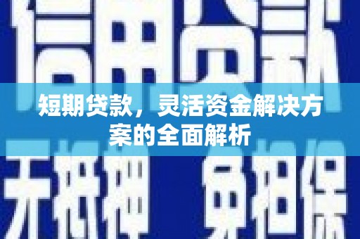 项城短期贷款，灵活资金解决方案的全面解析